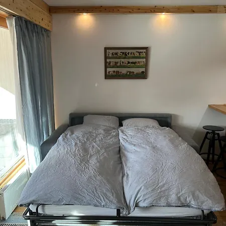 아파트 Flat In Sur Ollon, Amethyste, For 4, With Two Double Beds, Balcony And 75m To Ski-train 빌라쉬르올롱