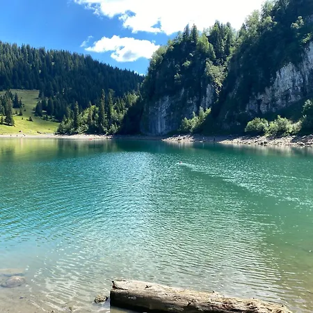 Flat In Sur Ollon, Amethyste, For 4, With Two Double Beds, Balcony And 75m To Ski-train