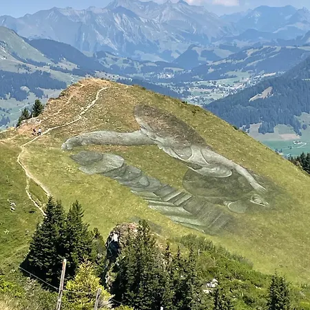 Flat In Sur Ollon, Amethyste, For 4, With Two Double Beds, Balcony And 75m To Ski-train * ヴィラール・シュル・オロン