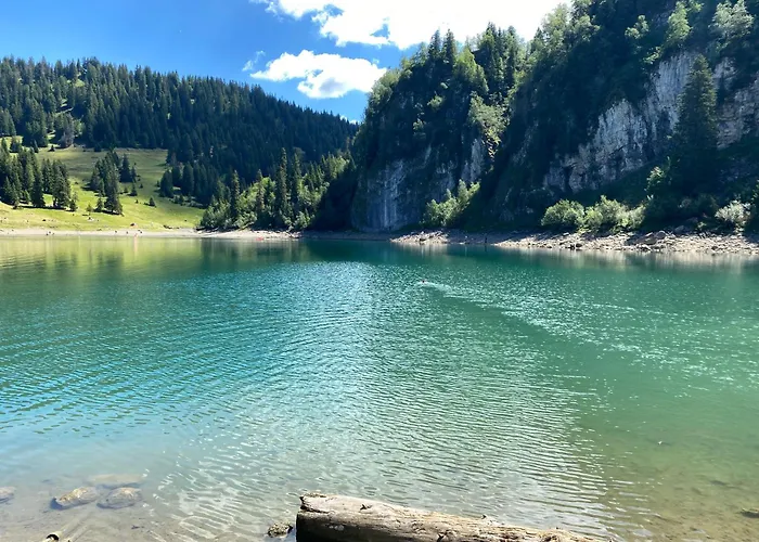 Flat In Sur Ollon, Amethyste, For 4, With Two Double Beds, Balcony And 75m To Ski-train