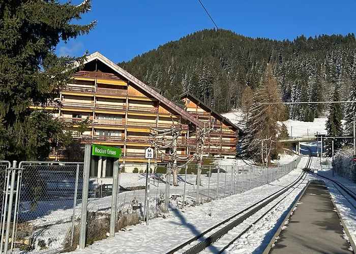 Appartamento Flat In Sur Ollon, Amethyste, For 4, With Two Double Beds, Balcony And 75m To Ski-train Villars-sur-Ollon