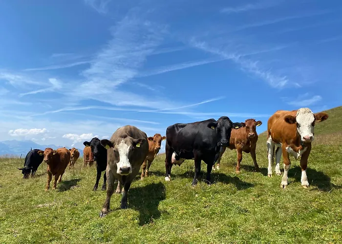 Apartman Flat In Sur Ollon, Amethyste, For 4, With Two Double Beds, Balcony And 75m To Ski-train