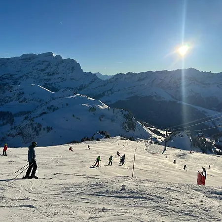 Flat In Sur Ollon, Amethyste, For 4, With Two Double Beds, Balcony And 75m To Ski-train アパート ヴィラール・シュル・オロン