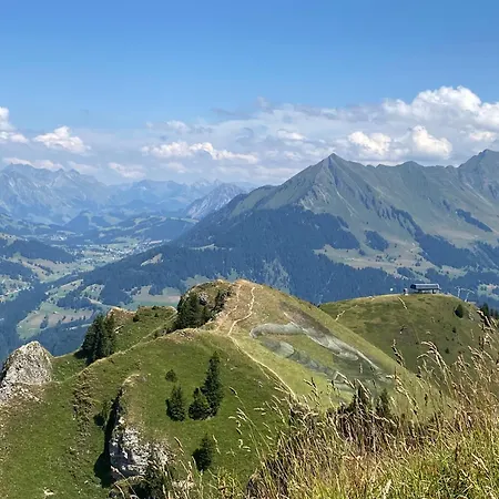 アパート Flat In Sur Ollon, Amethyste, For 4, With Two Double Beds, Balcony And 75m To Ski-train *