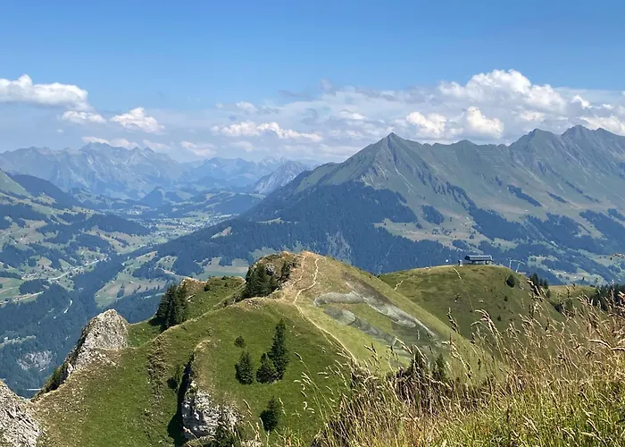 アパート Flat In Sur Ollon, Amethyste, For 4, With Two Double Beds, Balcony And 75m To Ski-train *